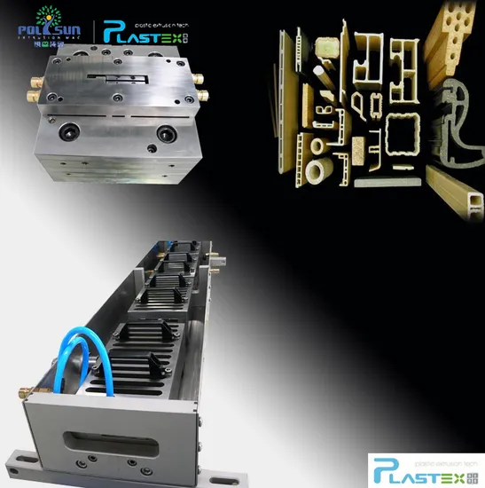 Molde/matriz de extrusión de WPC/PVC Molde de extrusión de WPC